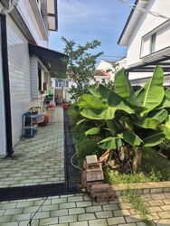 Lorong Siglap (D15), Semi-Detached #608614201